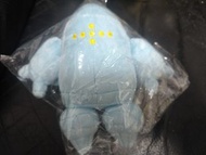 寵物小精靈 雷吉艾斯Pokémon fit 公仔