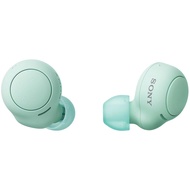 Sony WF-C500 Fully Wireless Earbuds, Lightweight, Small 0.2 oz (5.4 g), High Precision Call Quality,