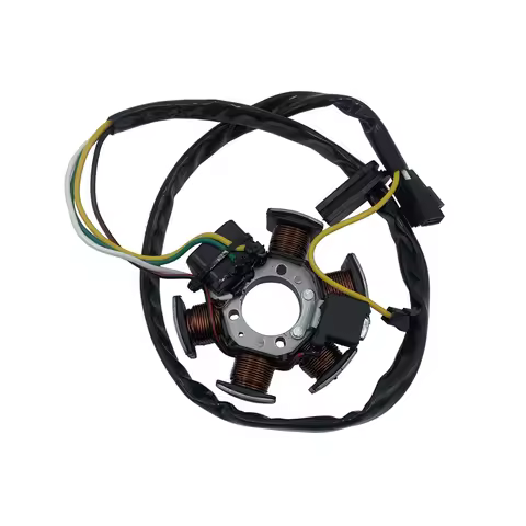 AM6 50 Stator Ignition Coil For Yamaha DT50 TZR 50 Ignition Charging Coil Generator Racing Scooter M