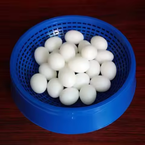 5Pcs Artificial Bird Eggs Solid Parrot Plastic Eggs Parakeet False Hatching Eggs for Parrotlet Diamo