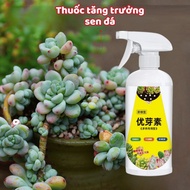 Kích Nảy Mầm Sen Đá Xịt Kích Mầm Chồi Giúp Sen Đá Mập Mạp Kích Thích Ra Rễ Chiết Tách Cành 300ml MEH