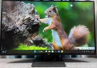 Dell U4320Q 43inch 43吋 4K 旋轉升降 IPS Monitor 電腦 屏幕