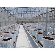 Silver Shine Plastik, Silvershine Film, Panda Film, Greenhouse Film , Plastik UV, UV Cover