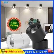 Foldable LED Downlight 3 Colors Spotlight 220V COB LED Ceiling Light Down Light 5W 7W 10W 15W Spot Light Track Light  For Living Room Kitchen 1 Year Warranty