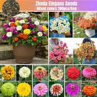 Zinnia Elegans Seeds Biji Benih Zinnia Flower Seed for Planting (200 Seeds/pack) Pokok Bunga Hiasan 