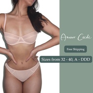 [READY STOCK] New York Brand Amour Caché Dani Balconette Pushup Pink Shimmery Lace Luxury Bra 32A-40