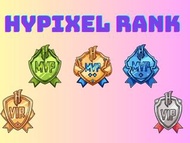 [LOW-PRICED⚠️] Minecraft Server Hypixel Rank 代購