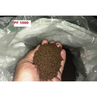 PELET PF 1000 PAKAN LELE NILA GURAME 500 gr