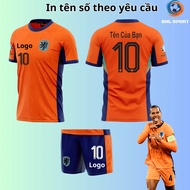 (Sesame elastic fabric) Netherlands orange home football shirt 2024/2025, football shirt with name a