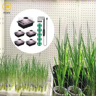 5 Set Seed Starter Tray with Grow Light Seedling Sprouting Trays Gardening Supplies Heightened Lids 