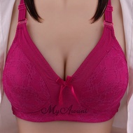 Anna H Plus-Size Wireless Bra | Full-Cup Support | Sizes 34-52