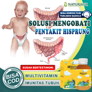 Obat Hisprung Anak Bayi Balita Paling Ampuh Penyakit Hirschsprung Gangguan Usus Besar Perut Bengkak