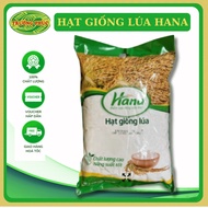 Hana Rice Seeds No. 7 – Pure Rice