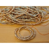 Arusha Multi-Circle (5 Mi More)