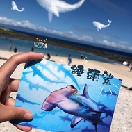 錘頭鯊與你-台灣綠島/手繪/潛水員/錘頭鯊/潛水/明信片