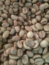 biji kopi greenbean robusta petik merah istimewa