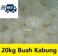 20KG Buah Nau whole tin preserved buah nau buahnau buah nao buah kabung buah laicikang lai ci kang n