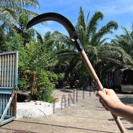 TANI MAJU 2 / RUMPUT SABIT DENGAN KAYU PAID PANGJANG TAJAM 100% HANDMADE (A093)