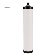 Household Water Purifier Filter Elements 9-Inch T33 Rear Activated Carbon Filter Elements Water Puri