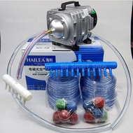 Air Pump Oxygen 45 Watts HAILEA Model ACO-318 Free 12 Outlets And Ready-To-Use Equipment