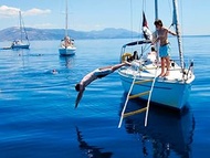 Marine Ladder for Boat Motorboat Catamaran 8 ft | Polyester Reflective Rope Ladder | Multi-Purpose R