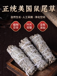 加州白鼠尾草 7寸18cm/100g +/- White sage