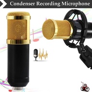 Mic BM800 - Condenser BM 800 - Free XLR Condenser / Shock Proof Mount