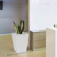 Felton Square Flower Pot 2453/2454 with Saucer suitable for indoor plant