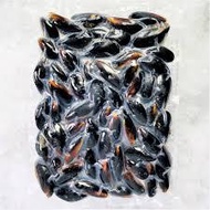 Cooked Whole-Shell Mussels