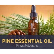 Pine Oil Essential Oil