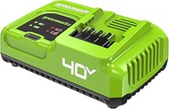 Greenworks 40V 5A Rapid Charger，for All Greenworks 40V Battery