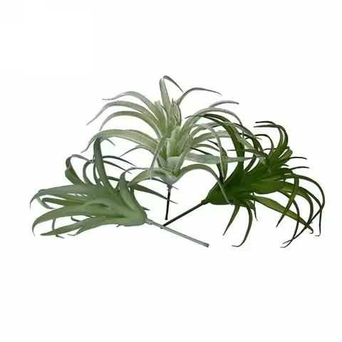 3Pcs Simulation Home Supplies Wedding Party Fake Bromeliads Artificial Flocking Tillandsia Plants Ai