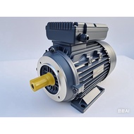 Motor mesin pencuci kereta Shanghai Nison satu fasa 220 volt 2.2 kW 2.5 kW 3 kW 3.7 kW.