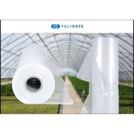 greenhouse uv plastic | plastik uv rumah hijau | garden khemah pokok teduhan hujan panas
