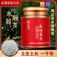 Yongshun ชาเบอรี่ Xu Tujia ชาพิเศษ Longxu ตาป่าแท้ชา Yongshun ชาเบอรี่ชา Xiangxi Tujia ชาพิเศษมังกรเ