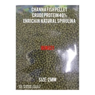Channa Fish Pellet Enrich in Natural Sipirulina and crude protein 40%