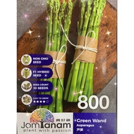 Biji Bernih Sayur/ Vege Seed JT800 Asparagus Hijau / Green Wand Asparagus / 芦笋 (30 seeds)