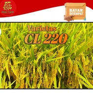 amerraen Benih Padi Unggul CL220 / CL284 Bibit Unggul 5kg