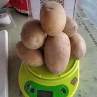 Ubi Kentang / Fresh Potato Gred A