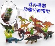 台灣出貨 桶裝 12款 迷你仿真 海洋動物 家禽動物 恐龍 野生動物 模型 玩具 實心模型 兒童認知教學玩具