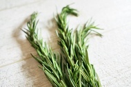 【迷迭香】_香草香料