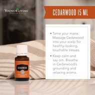 cedarwood young living essential oil