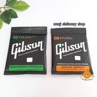 Gibson Acoustic/Electric Guitar Strings Set