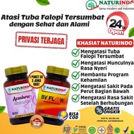 Obat Herbal Tuba Falopi Tersumbat Obat Penyumbatan Tuba Falopi Kanan