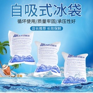 Next Day Delivery🏆Self-Absorbent Ice Bag Disposable Cooler Bag Portable Ice Bag Disposable Fresh-Kee