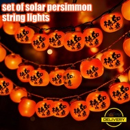 [3-5 Days Arrive]-Solar String Lights with 20 Persimmon Bulbs, 5m Weather-Resistant Cable for Outdoo