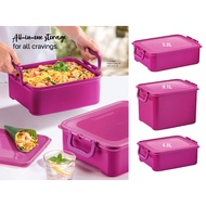 Tupperware Treasure Keeper (6.9L/10L/5.7L) - Blue / Treasure Keeper (5.8L/9.1L/4.8L) - Pink airtight