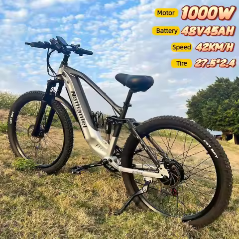 Electric bike SYR03 1000W motor 48V45Ah removable lithium battery e-bike 42km/h commuting leisure ri