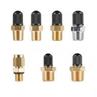 Factory Direct Supply NPT1/4 Valve G1/4 Valve NPT1/8 Valve G1/8 Inflator