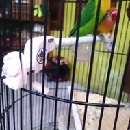 Stoper With lovebird Bird Cage Accessories fullset